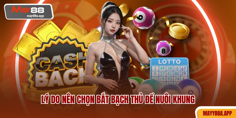 Lý do nên chọn bắt bạch thủ để nuôi khung